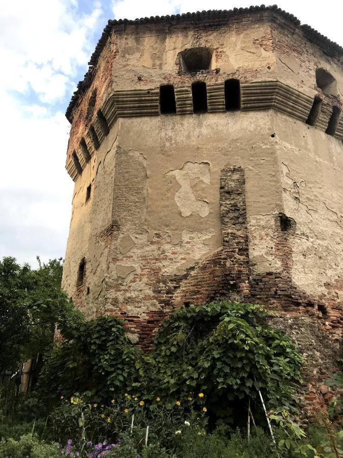 Tanners Tower Condo With A Fireplace Sibiu Buitenkant foto